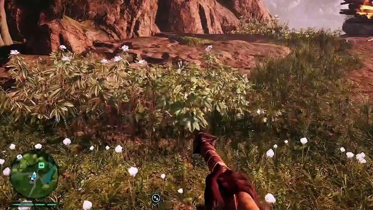 Lets Play Far Cry Primal - Part 3