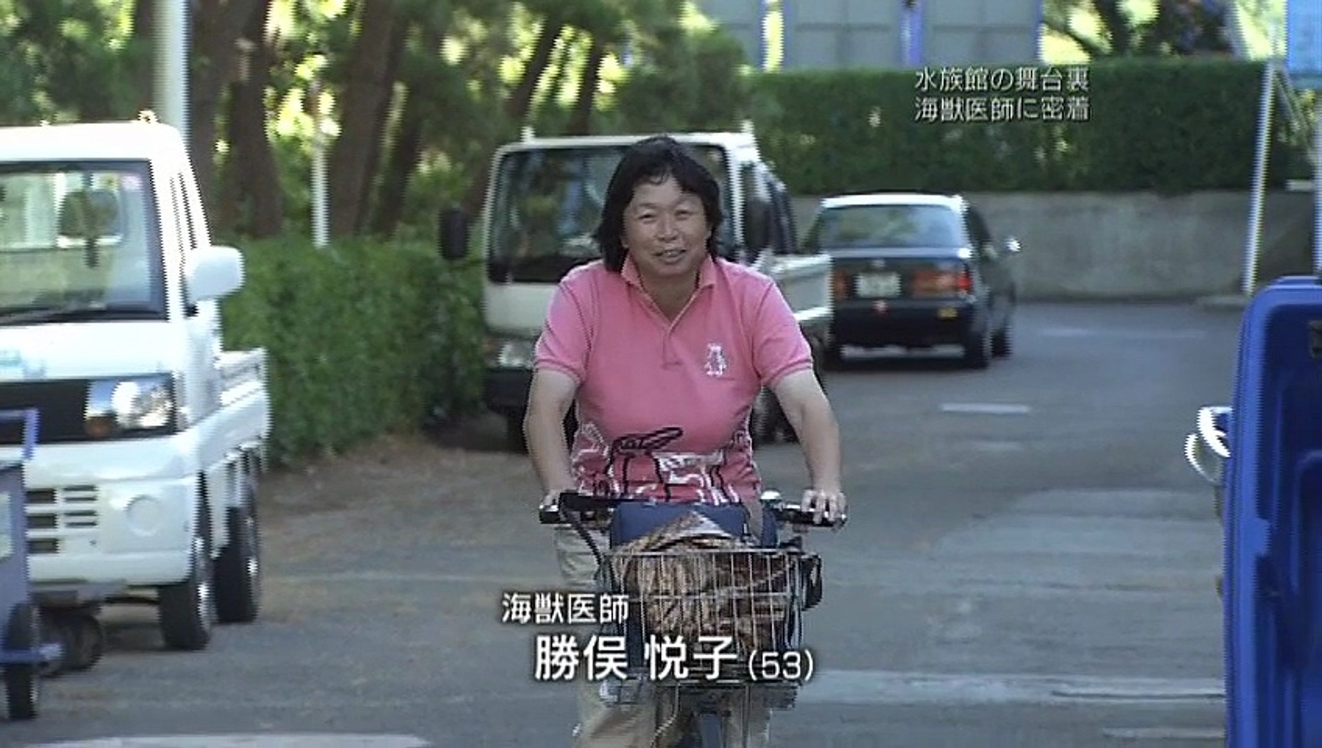 海獣医師 勝俣悦子 かあちゃん 命と向き合う プロフェッショナル 仕事の流儀 動画 Dailymotion