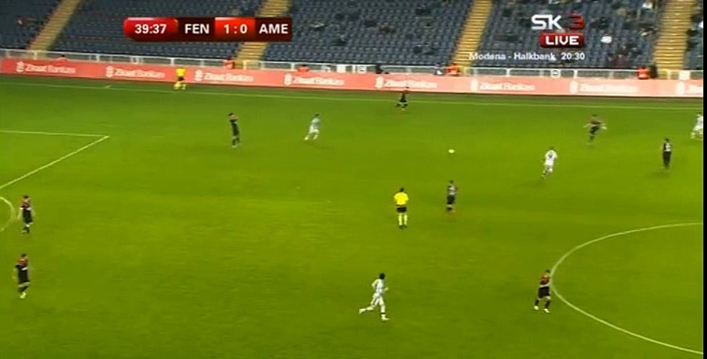 Fernandao- Goal-Fenerbahce 2 - 0 Amedspor	Draw-TURKEY: Turkish Cup -03.03.2016