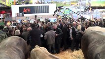 Alain Juppé en visite au Salon de l'Agriculture
