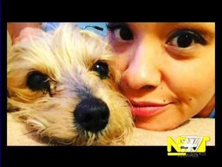 Next - 3 Mars 2016 | Pj.2 - Show - Vizion Plus