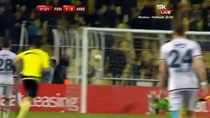 Fenerbahce 3 - 1 Amedspor - Highlights - 03-03-2016