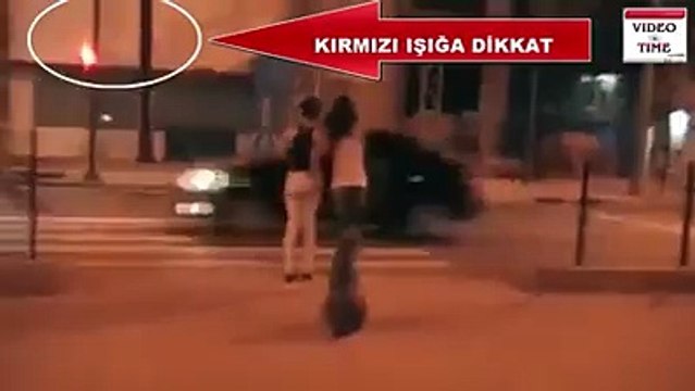 A Dog is obeying the traffic rules then why we not?