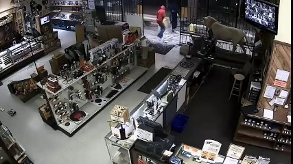 Cambriolage spectaculaire d'une armurerie au Texas