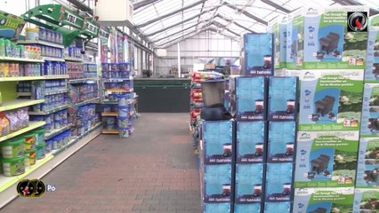 Le printemps 2016 chez Poisson d'or