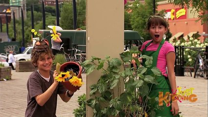 Kid Smashed On Head With Flower Pot CAUGHT ON CAMERA! - Just Kidding