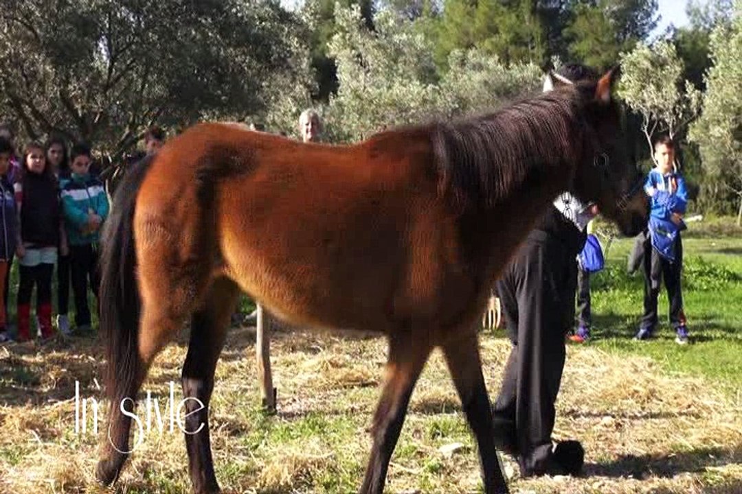 IN STYLE ΠΑΡΑΔΟΣΙΑΚΟ ΠΑΡΚΟ ΔΗΜΑΚΗ, ΠΡΟΣΒΑΣΙΣ, KRIS KARRAS, ΝΕΛΗ ΜΥΛΩΝΑ, ΝΑΤΑΣΑ ΡΟΥΛΙΑ