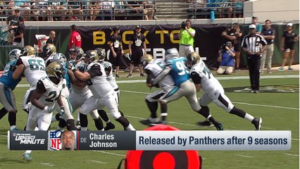 Panthers release defensive end Charles Johnson