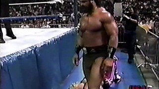 Bret Hart vs The Barbarian (Summerslam 91 Spectacular)