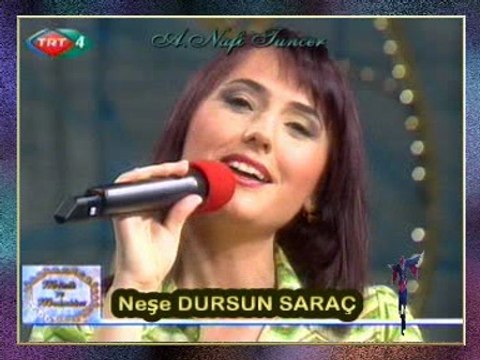 Neşe DURSUN SARAÇ-Eğilmez Başın Gibi Gökler Bulutlu Efem