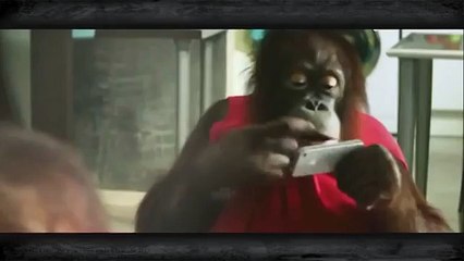 Девушки произошли от обезьян