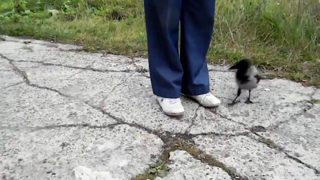 ПРИКОЛ 2015 - humor humour comedy[5]