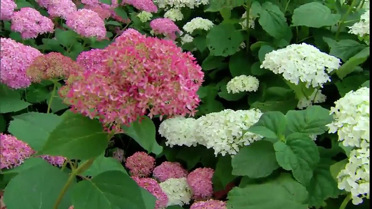 Garden Style ~ Finding Bliss