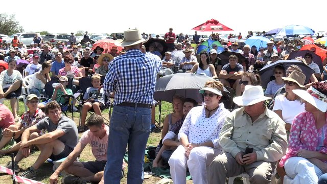 Los ganaderos sudafricanos rezan pidiendo lluvia