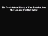 Read The Tree: A Natural History of What Trees Are How They Live and Why They Matter Ebook