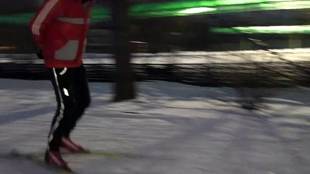 Лыжные гонки. Проверка качества техники на льду без палок