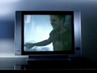 Armin van buuren racoon - love you more