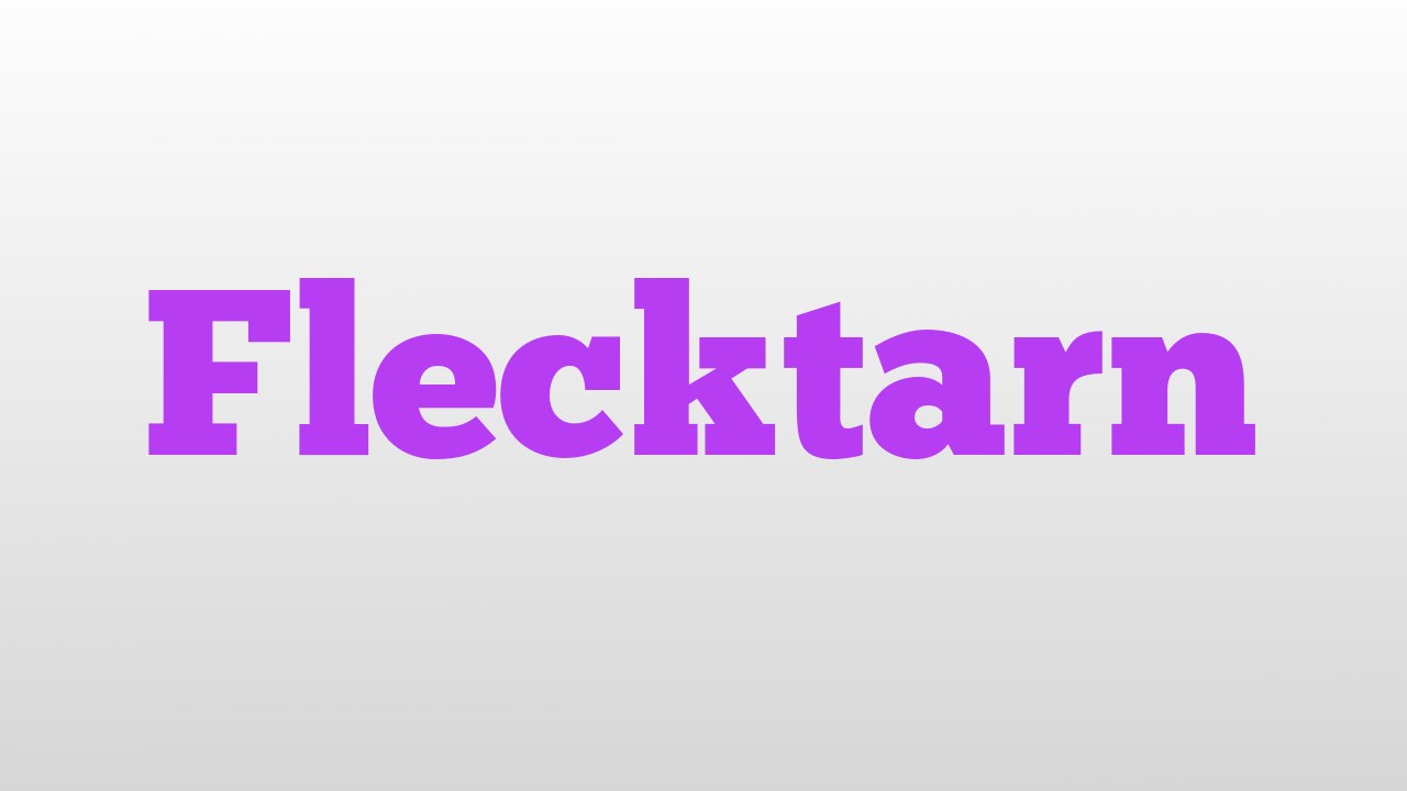 Flecktarn meaning and pronunciation