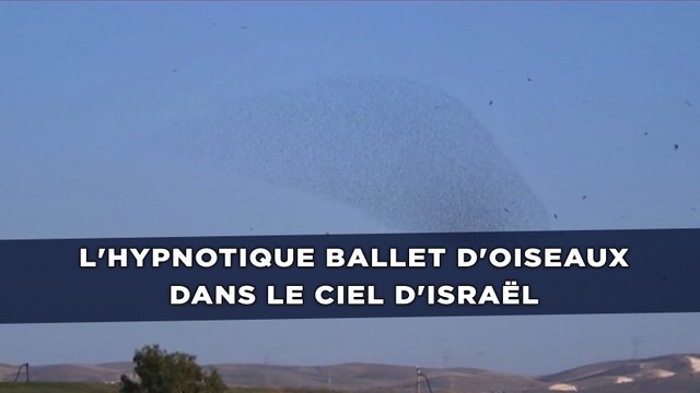 L'hypnotique ballet d'oiseaux dans le ciel d'Israël