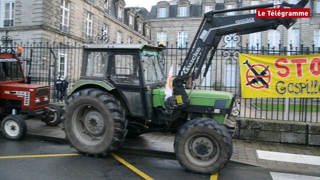 Vannes. Les opposants à l'aéroport devant la préfecture