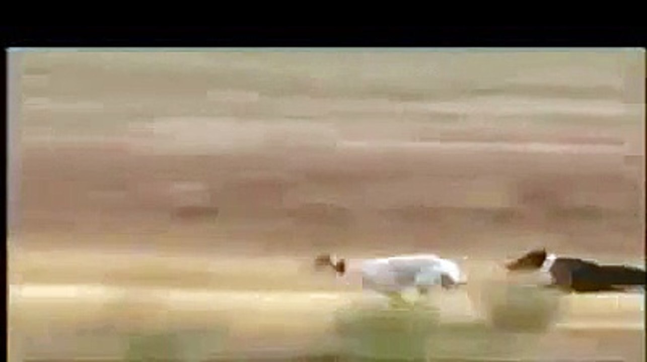 هذا أرنب  ولا طيارة  F 16