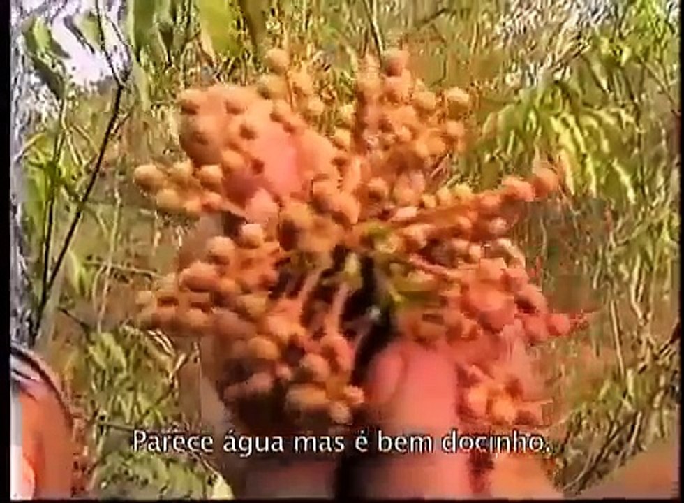 Amazon Tribes Discovery -Das crianças Ikpeng para o Mundo (Leg Português)