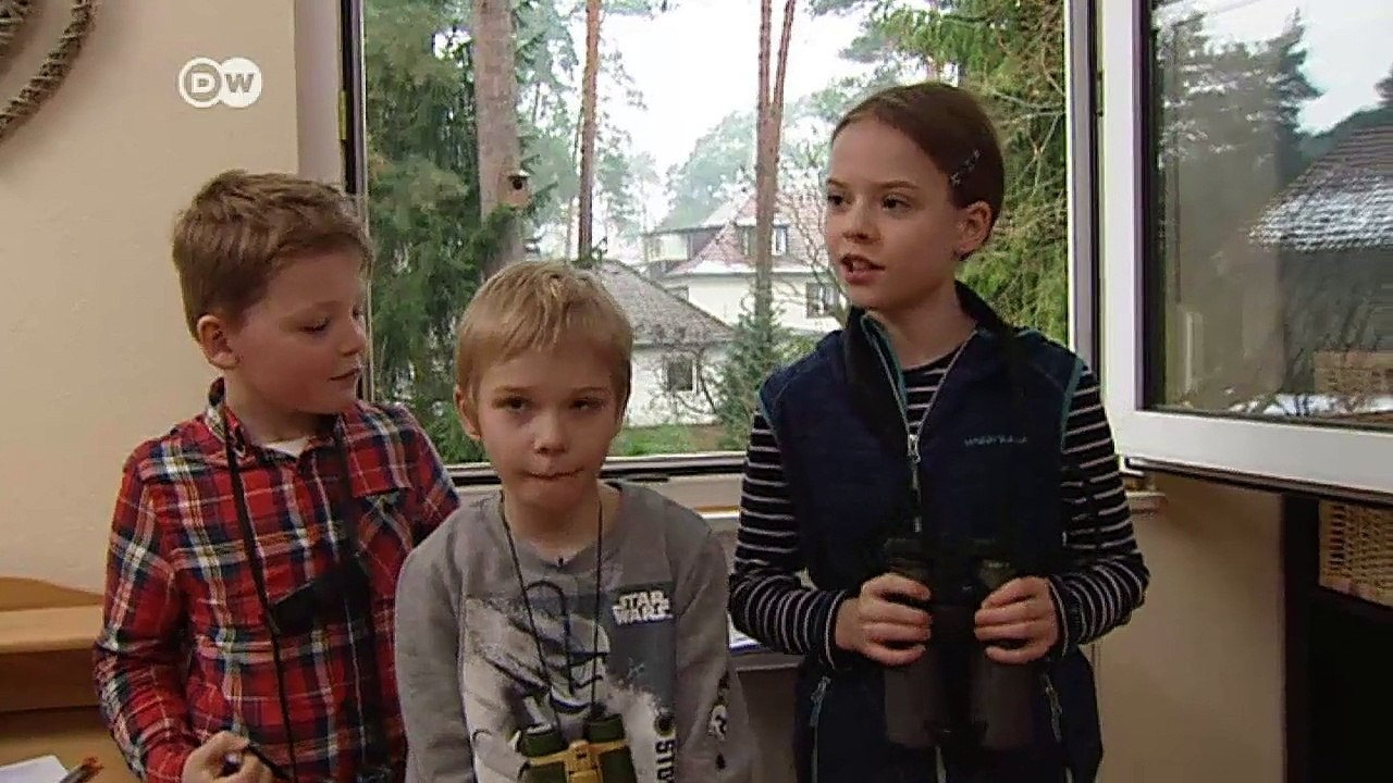 Mitmachaktion: Wintervögel zählen | DW Nachrichten