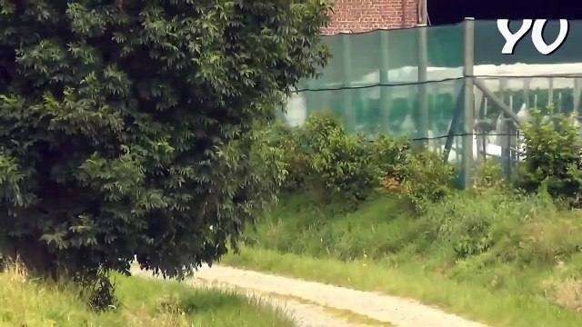 GEKO Rally van Wervik - 2014