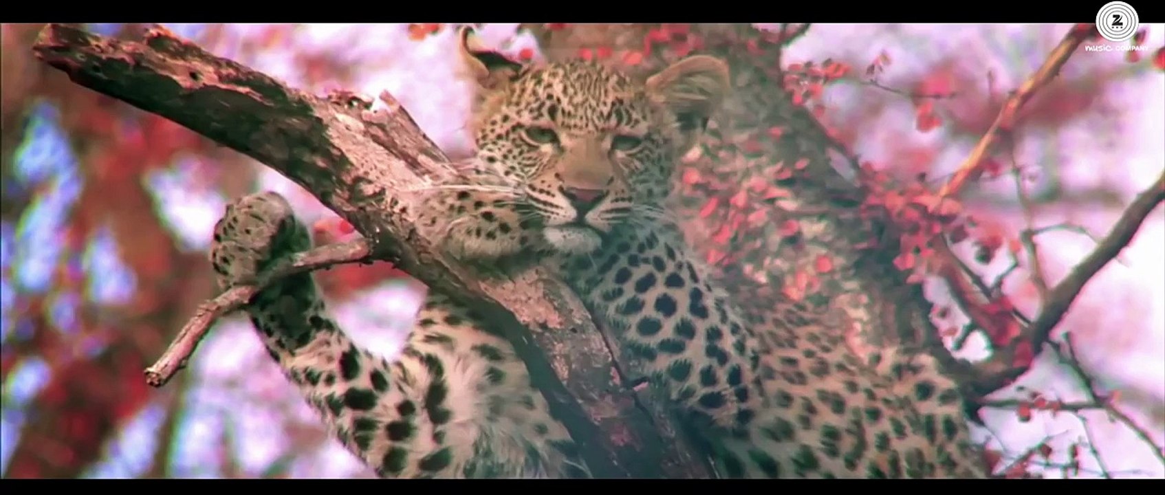 Samsara - Ricky Kej Featuring Amitabh Bachchan_ Shankar Mahadevan