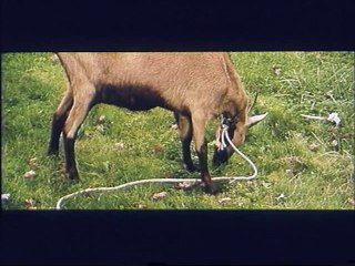 Grégoire Moulin contre l'humanité