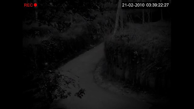 Child Ghost Caught On CCTV Camera on Haunted Road - Scary Videos