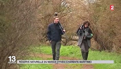 Emploi : François Hollande veut généraliser le service civique