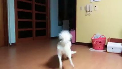 ₭안산출장마사지【ÔΙÖ↔9749↔7899】✎성북구출장안마₭출장마사지진짜₭안산출장신사