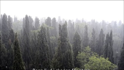 Åska och regn ljud för sömn, storm, omgivande natur, meditation, djup sömn, avkopplande, l