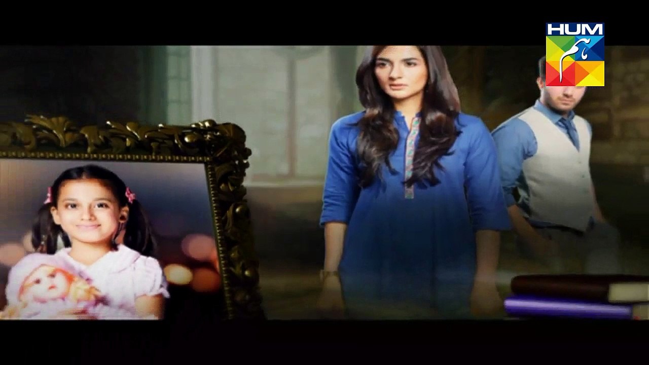 Ek Thi Misaal Episode 35 Full HUM TV Drama 11 Jan 2016
