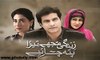 Zindagi Mujhay Tera Pata Chahiye » Ptv Home » Episode	40	» 11th January 2016 » Pakistani Drama Serial