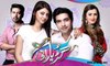Gudiya Rani » Ary Digital » Episode 	143	» 11th January 2016 » Pakistani Drama Serial