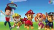 Paw Patrol Finger Family Songs, Nick Jr. - Daddy Finger Nursery Rhymes Collection 30 minut