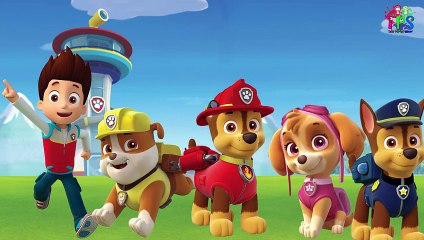 Download Video: Paw Patrol Finger Family Songs, Nick Jr. - Daddy Finger Nursery Rhymes Collection 30 minut