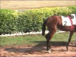 Karachi Race Club 10th Jan 2016