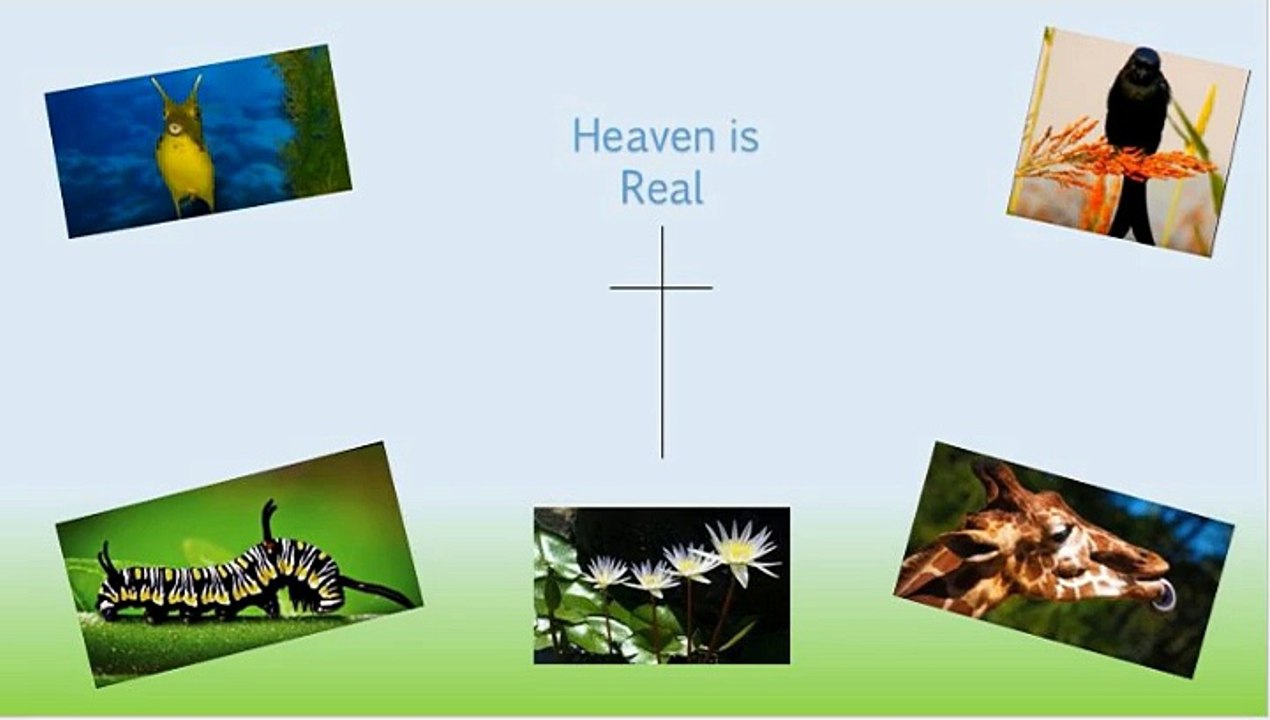 The Satanic Succubi and Incubi Part 3
