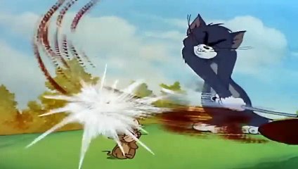 PANORMALIFE #1
- LES DESSINS ANIMÉS  Fun Fan FUN Videos