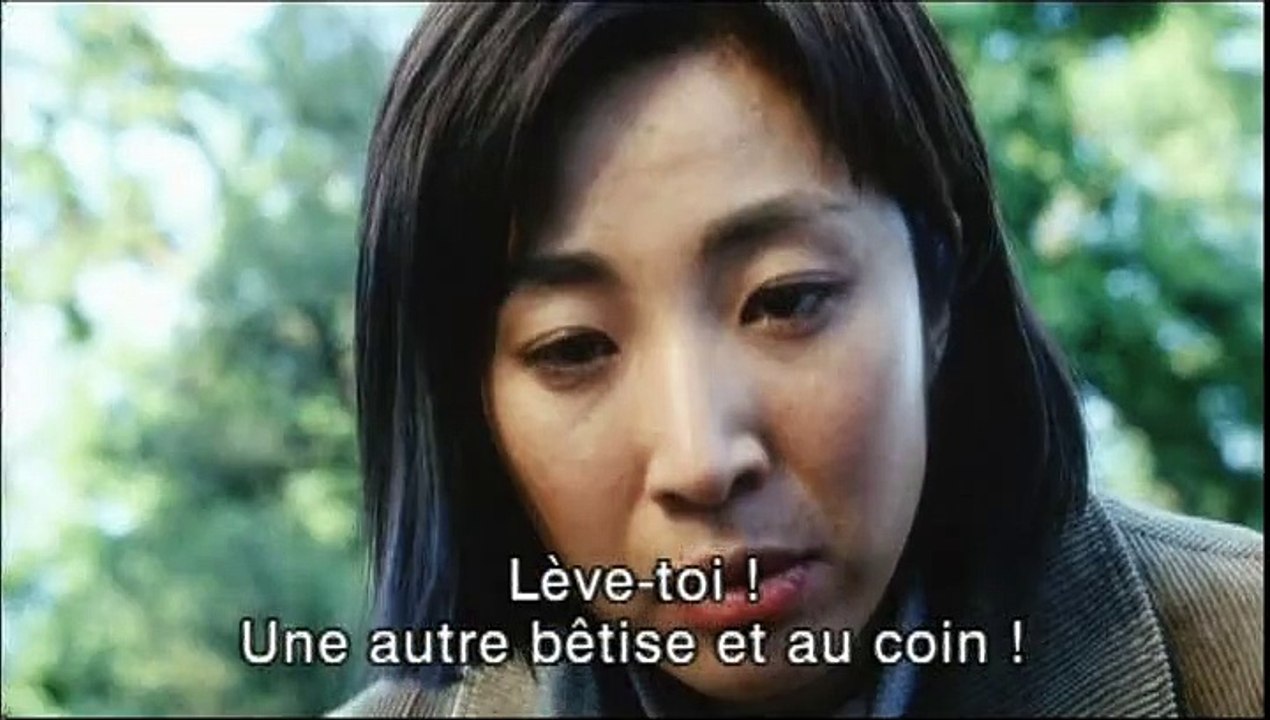 Les Petites fleurs rouges