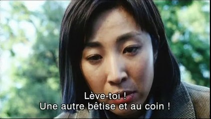 Les Petites fleurs rouges