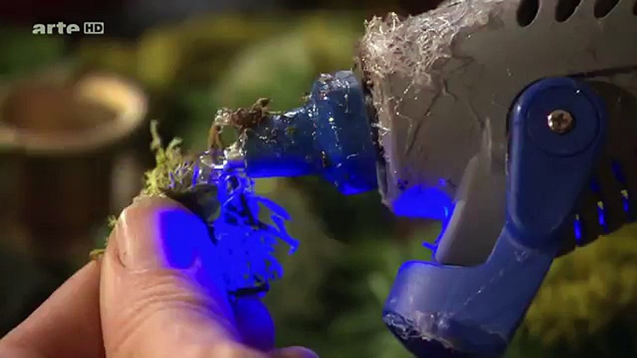 Zu Tisch in Prag - Traditionelle Gerichte