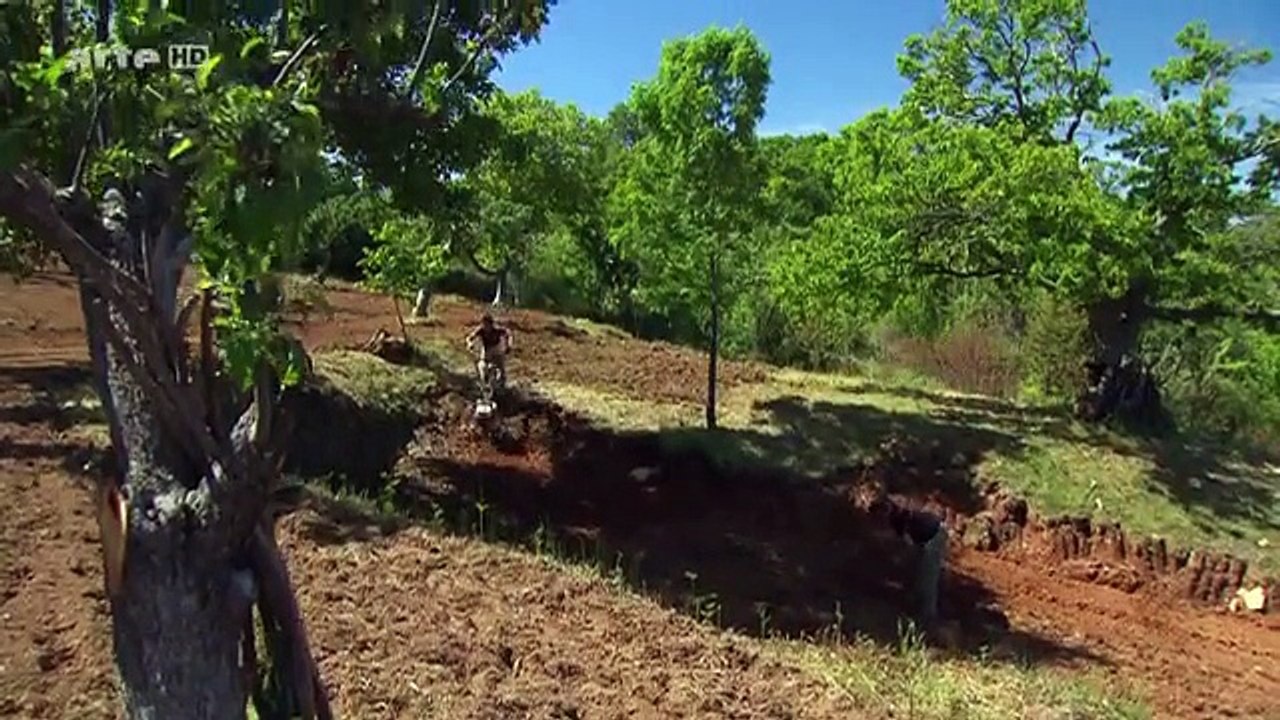 Zu Tisch in Thessalien - Traditionelle Gerichte