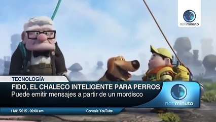 Chaleco inteligente para perros capta la ubicación del animal