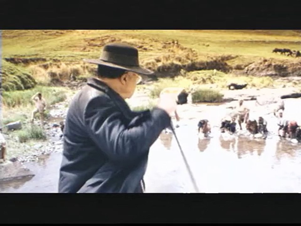 Pleure, ô pays bien aimé