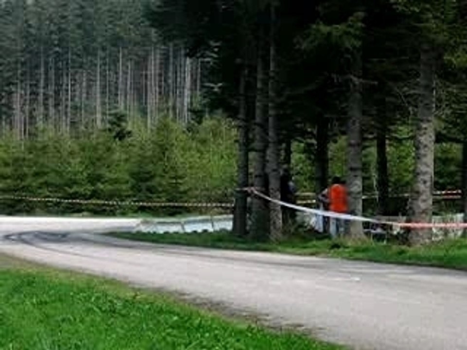 rallye alsace-vosges 2006 206 wrc trés large!