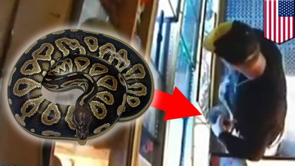 Thief with giant snake in his pants wanted by Portland police